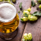 Illustration for article titled Ask Kate About Beer: What are dry-hopped vs. wet-hopped IPAs?